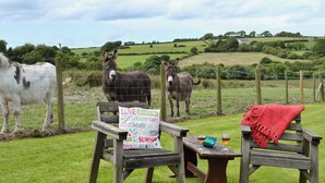 A rural outdoor setting with two donkeys, a wooden bench, and a signboard. - 1 bedroom accommodation in Glynarthen, near Cardigan (Glynarthen, near Cardigan)