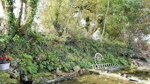 A pond with ducks, surrounded by dense foliage and a rustic bridge. - 1 bedroom accommodation in Glynarthen, near Cardigan (Glynarthen, near Cardigan)