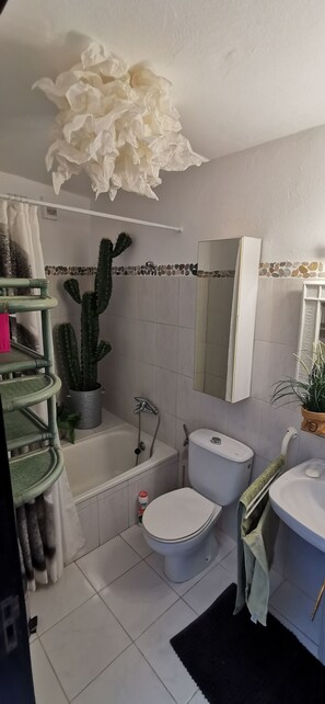Ducha, secador de pelo y toallas