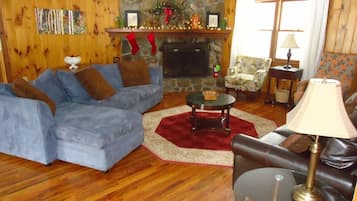 TV, fireplace, DVD player, books