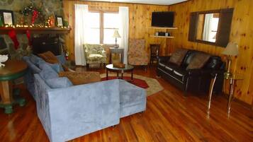 TV, fireplace, DVD player, books