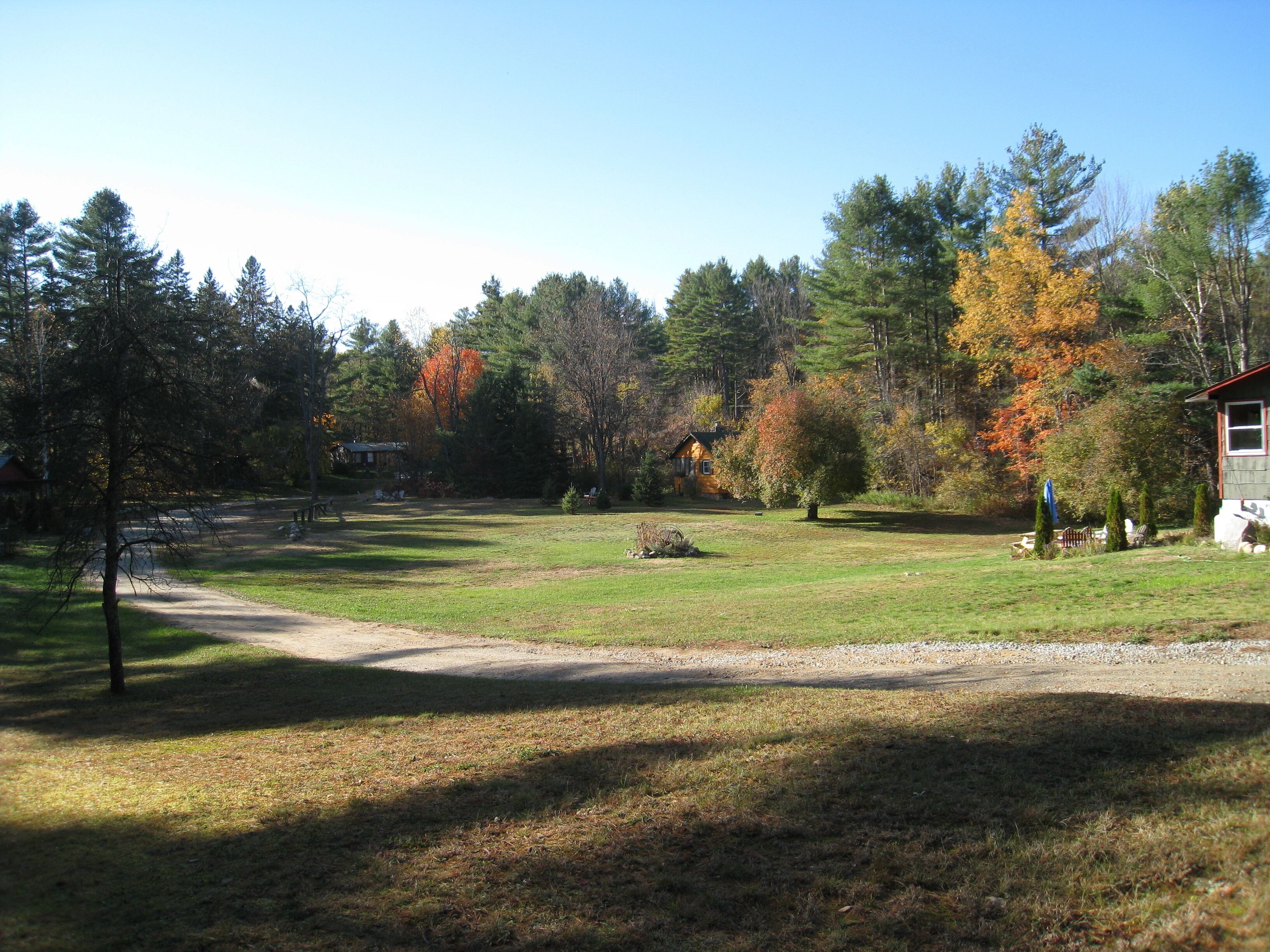 A rural landscape with a dirt path, a small cabin, and a variety of trees, including some with autumn foliage.