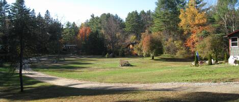 A rural landscape with a dirt path, a small cabin, and a variety of trees, including some with autumn foliage.