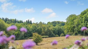 A rural landscape with a dirt path, dense trees, and purple flowers in the foreground. - 1 bedroom accommodation in Battle (Battle)