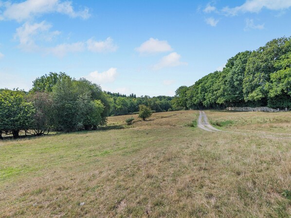 Surrounding area | Coblye Barn, Battle