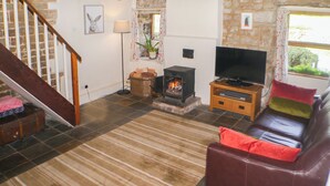 Un salon avec une cheminée, un téléviseur, un canapé et un tapis à rayures.