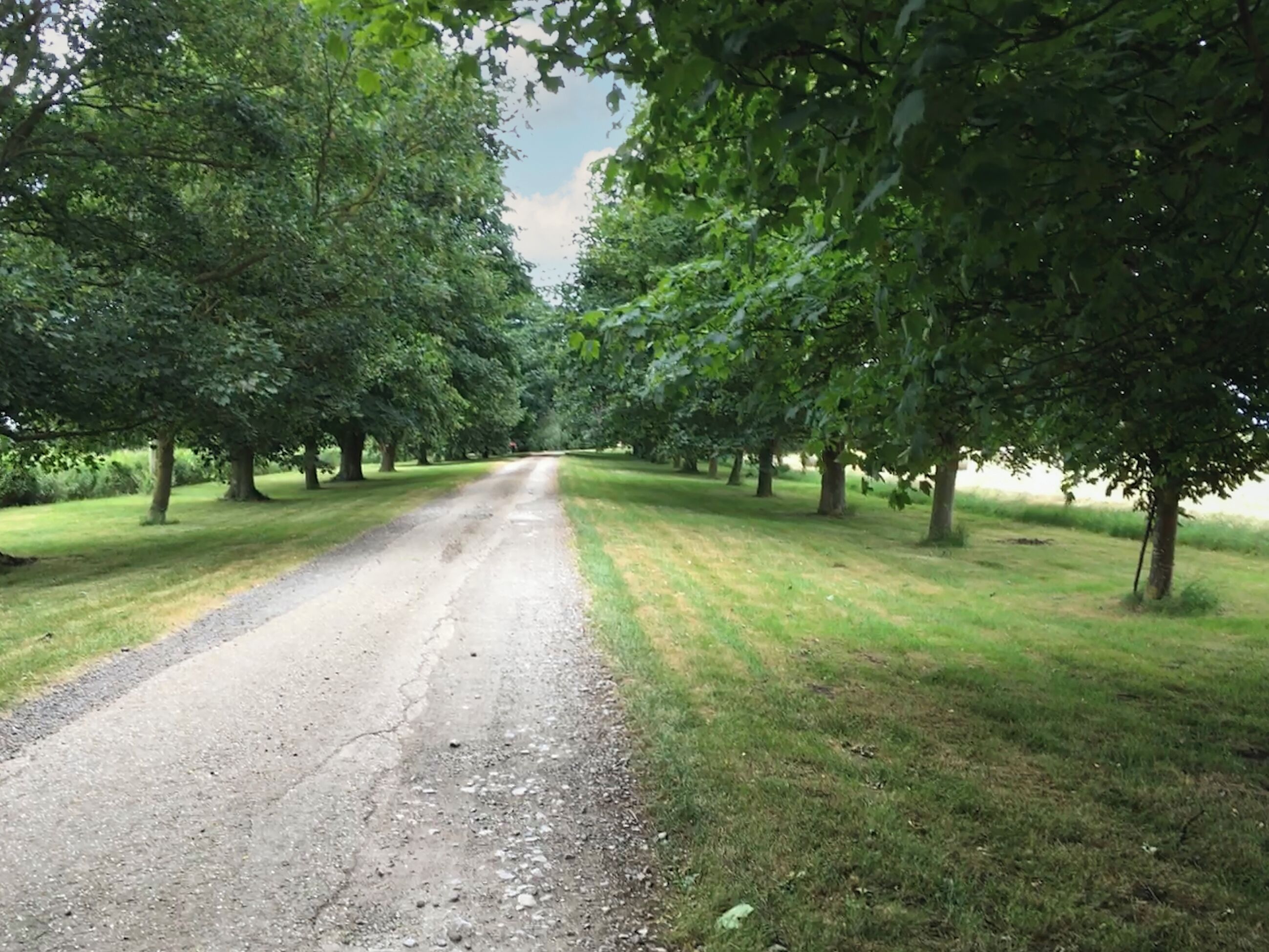 A gravel road flanked by trees in a park-like setting.