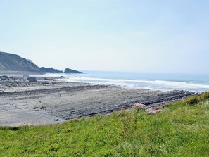 A coastal landscape with rocky terrain and grassy areas.