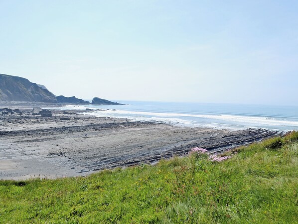 A coastal landscape with rocky terrain and grassy areas.