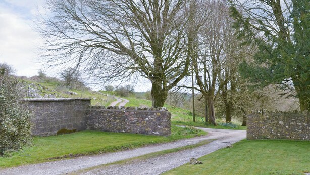 A rural road with stone walls and trees. - 1 bedroom accommodation in Priddy, near Wells (Priddy, near Wells)