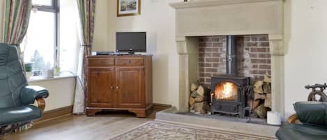 Fernseher, Kamin