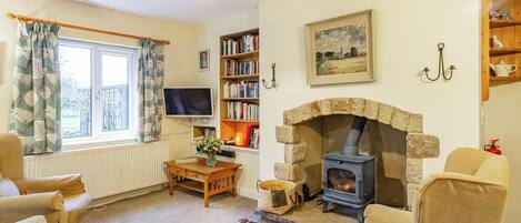 TV, fireplace