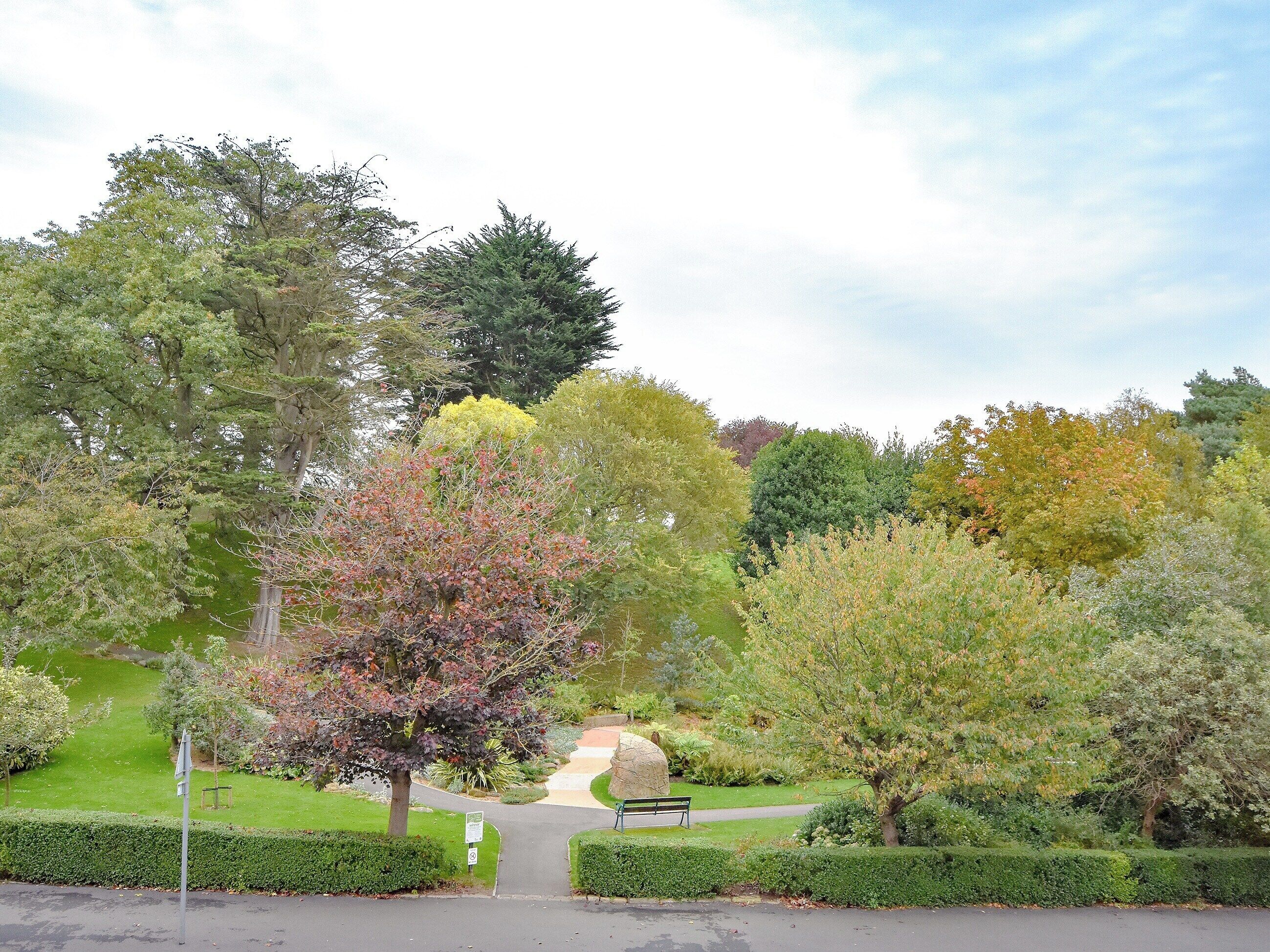 A park with a paved walkway, benches, and various trees.