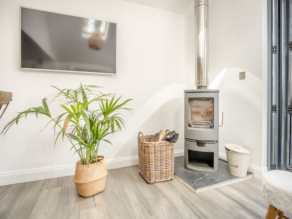 A room with a modern fireplace, a large potted plant, a wicker basket, and a white bucket labeled 'ASH'. - Red Squirrel Cottage (Whitwell, near Ventnor)