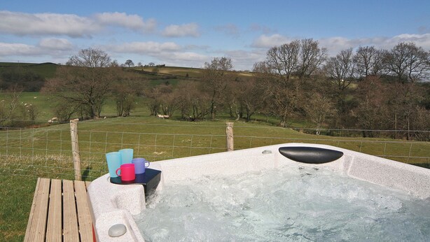 Un jacuzzi con cubierta de madera y vista a un campo cubierto de césped y árboles.