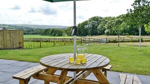 Ein Holztisch mit Picknick-Bestuhung, mit einem grünen Sonnenschirm, umgeben von einer Rasenfläche, einem Holzzaun und Bäumen im Hintergrund.