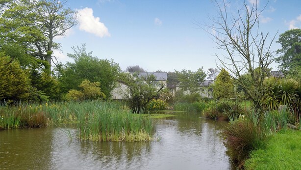 A calm pond surrounded by lush greenery and trees, with a clear sky above. - Hunter's Cottage - UK6239 (Y Ff&ocirc;r, near Pwllheli)