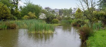 Hunter's Cottage - UK6239