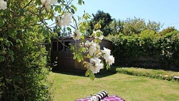 Área da propriedade