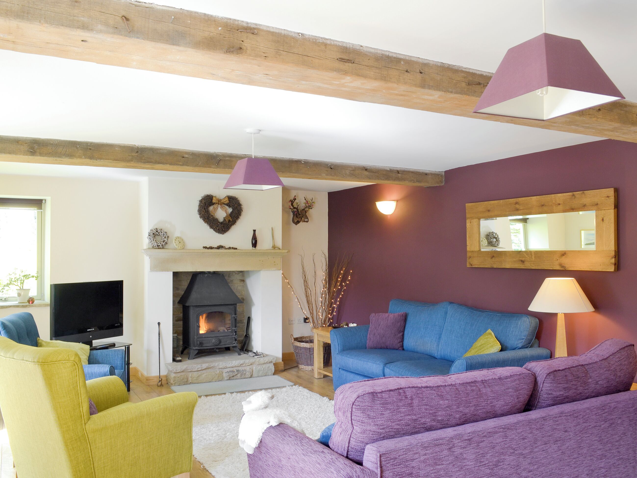 TV, fireplace