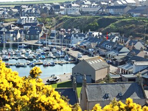 A coastal town with a marina filled with boats, surrounded by residential buildings.