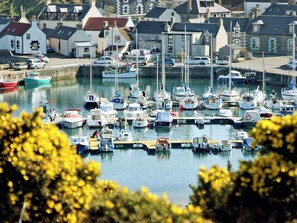 Image sans description, 2 de 31, bouton