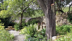 Un jardín con muro de piedra, una mesa de picnic y diversas plantas.