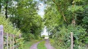 A gravel path flanked by wooden fences and lush greenery, leading to a distant view. - The Coach House - EXG (Upton, near Dulverton)