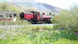 Un tren rojo antiguo con la inscripción "WHR" en el costado, avanzando por un paisaje rural con una montaña al fondo.