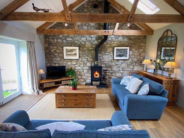 TV, fireplace