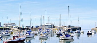 3 bedroom accommodation in Dihewyd, near Aberaeron