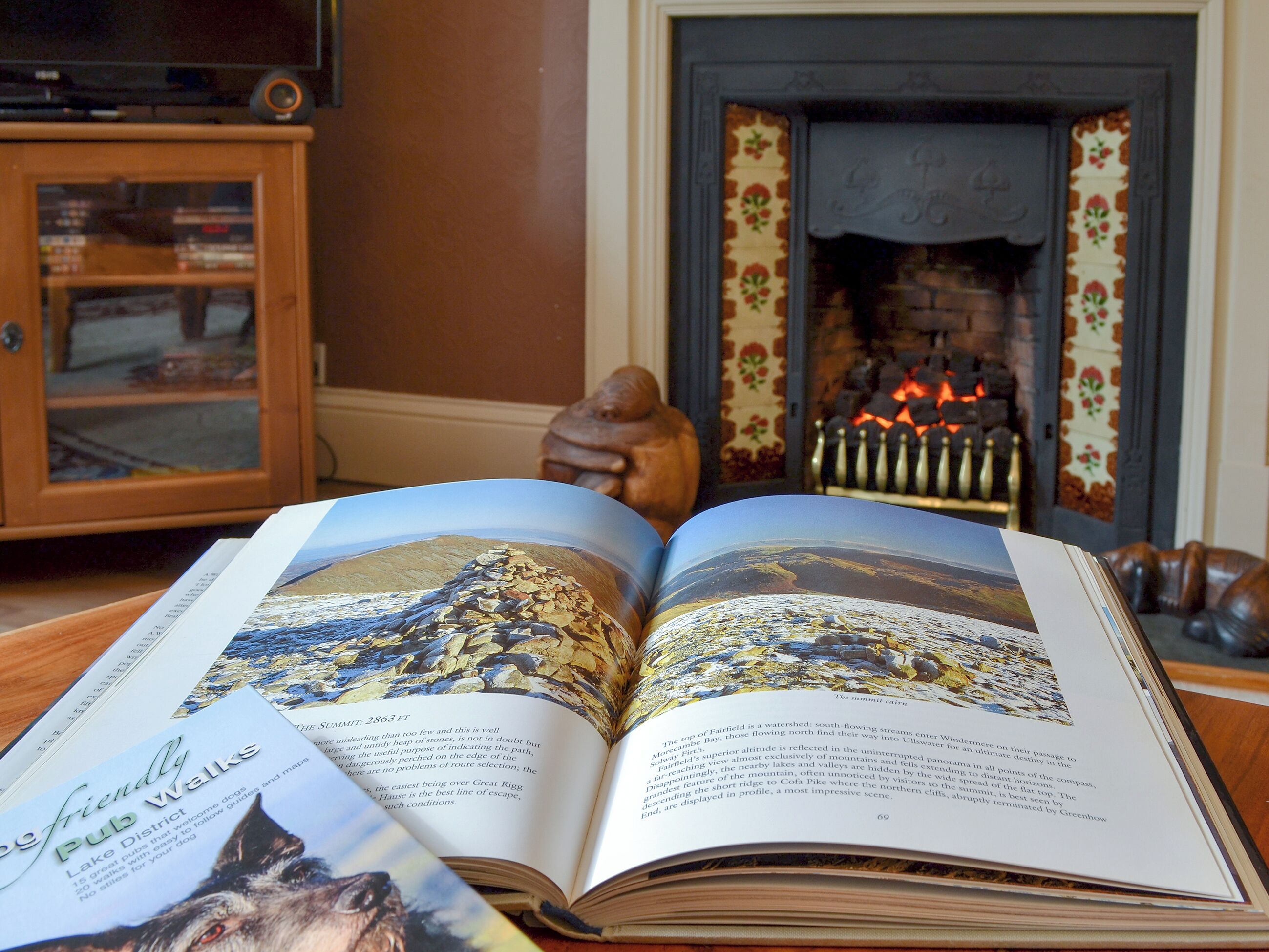 An open book with a landscape image on the left page and text on the right.