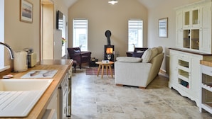 A spacious living area with a fireplace, a sofa, a dining table, and a kitchen area with a stove.