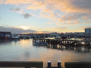 Marina/club náutico