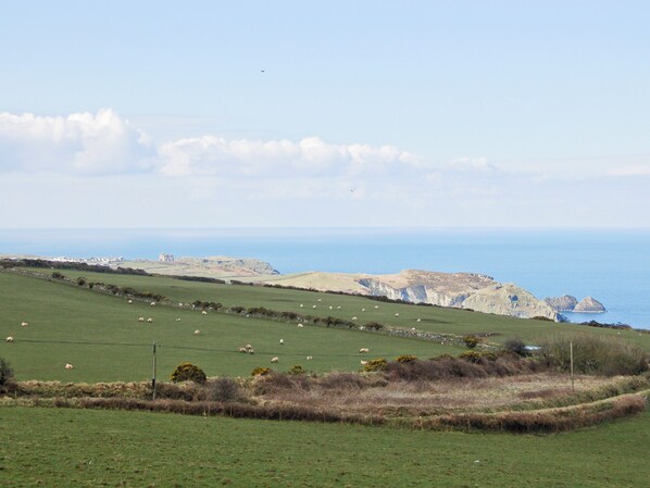 A coastal landscape with cliffs, a field of sheep, and a distant view of the sea.