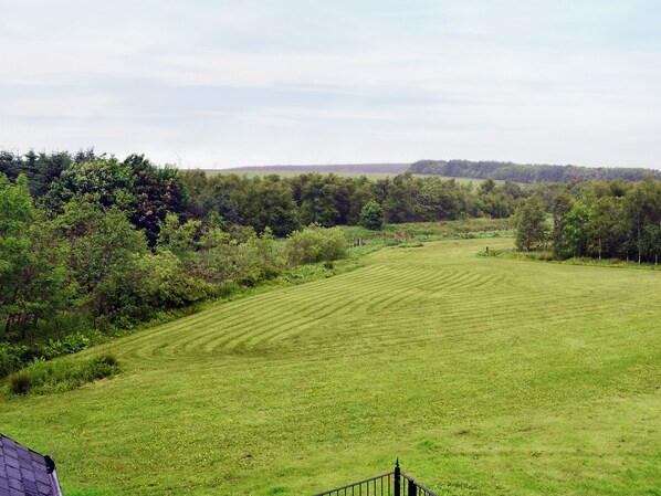 A large, open grassy field with a fence in the foreground and trees in the background.