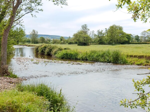 Un río con un árbol a la izquierda, rodeado de vegetación y colinas al fondo.