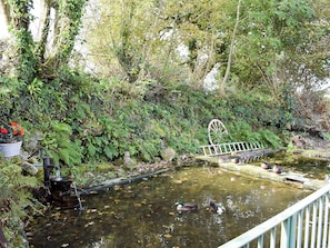Property grounds - 2 bedroom accommodation in Glynarthen, near Cardigan (Glynarthen, near Cardigan)