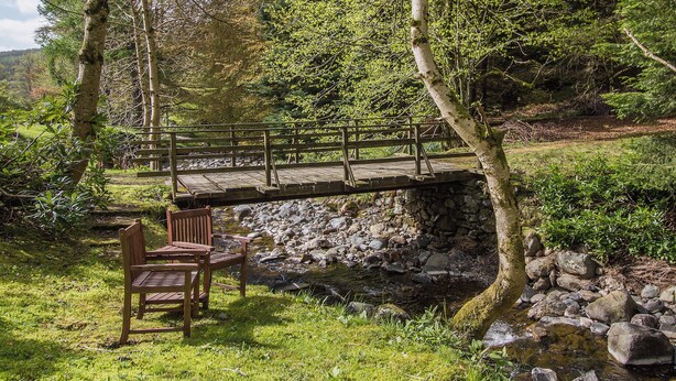 Un puente de madera sobre un arroyo, rodeado de árboles y un banco.