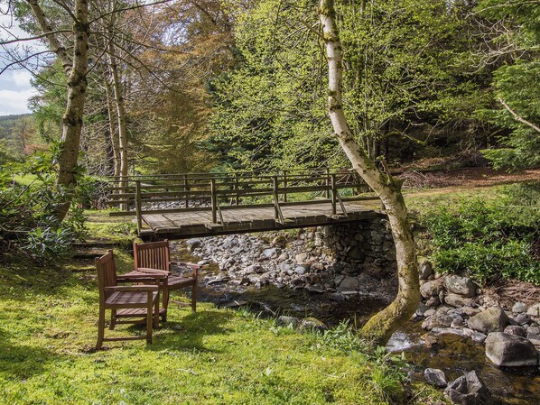 Un pont en bois enjambant un ruisseau, entouré d’arbres et agrémenté d’un banc.