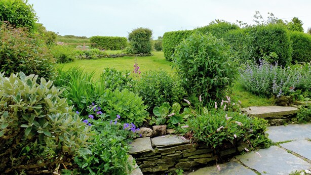 Un jardin avec différentes sortes de plantes et un mur de pierre.