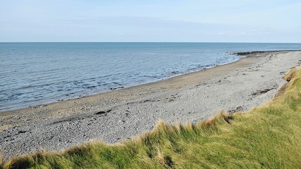 Une plage de galets, avec une zone herbeuse au premier plan et un ciel dégagé.