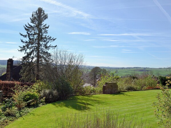 A grassy field with a stone wall and a tall tree. - 1 bedroom accommodation in Baslow, near Bakewell (Baslow, near Bakewell)