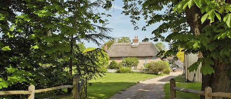 A rural pathway leading to a thatched-roof house surrounded by lush greenery.