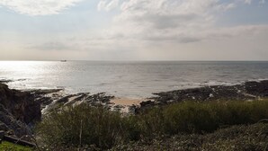 Een rotsachtige kustlijn met uitzicht op de zee en een schip in de verte.