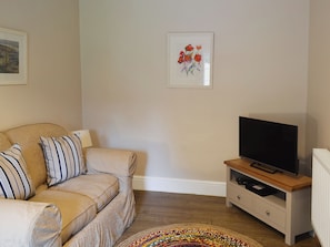 TV, fireplace - 5 bedroom accommodation in Rudston, near Bridlington (Rudston, near Bridlington)