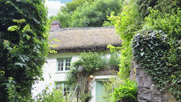 A quaint cottage with a thatched roof, surrounded by lush greenery and a stone wall.