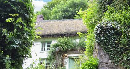 George's Cottage - HSSS