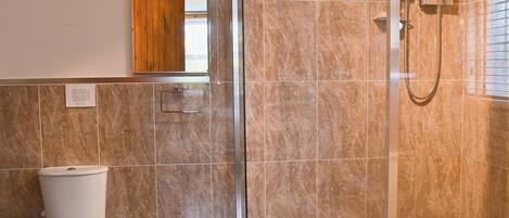 A bathroom with a glass-enclosed shower, a toilet, and a mirror above the sink.