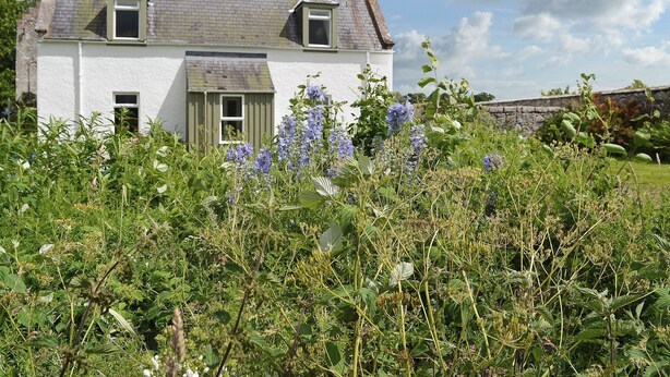 A white house with a grey roof, two chimneys, and a small window. - 2 bedroom accommodation in Urray, near Dingwall (Urray, near Dingwall)